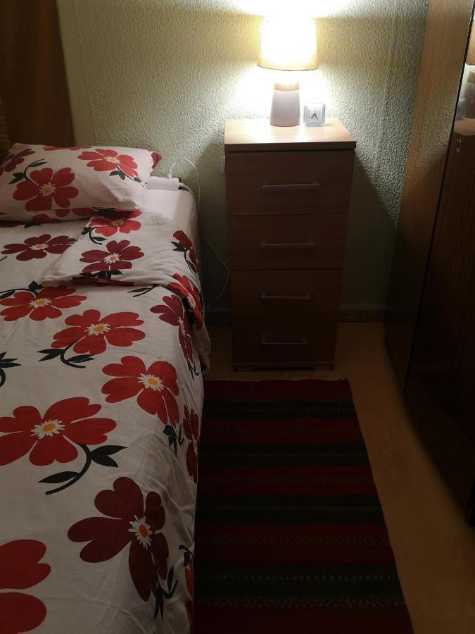 Dvinumajas Vintage B&B Balvi Bagian luar foto