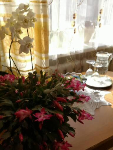 Dvinumajas Vintage B&B Balvi Bagian luar foto