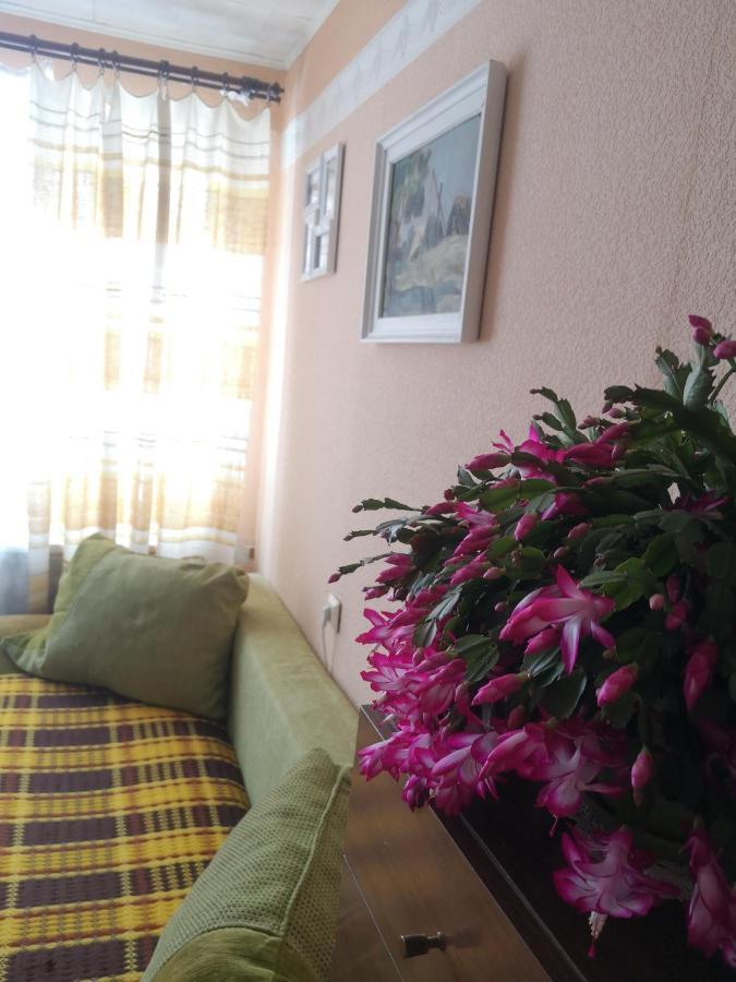 Dvinumajas Vintage B&B Balvi Bagian luar foto