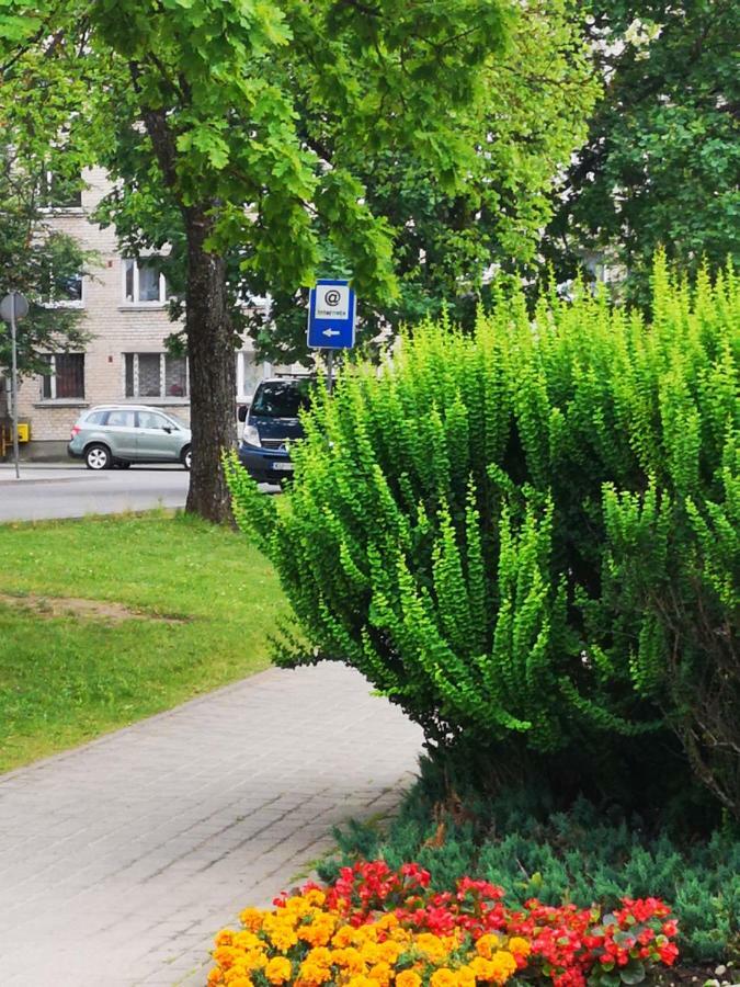 Dvinumajas Vintage B&B Balvi Bagian luar foto