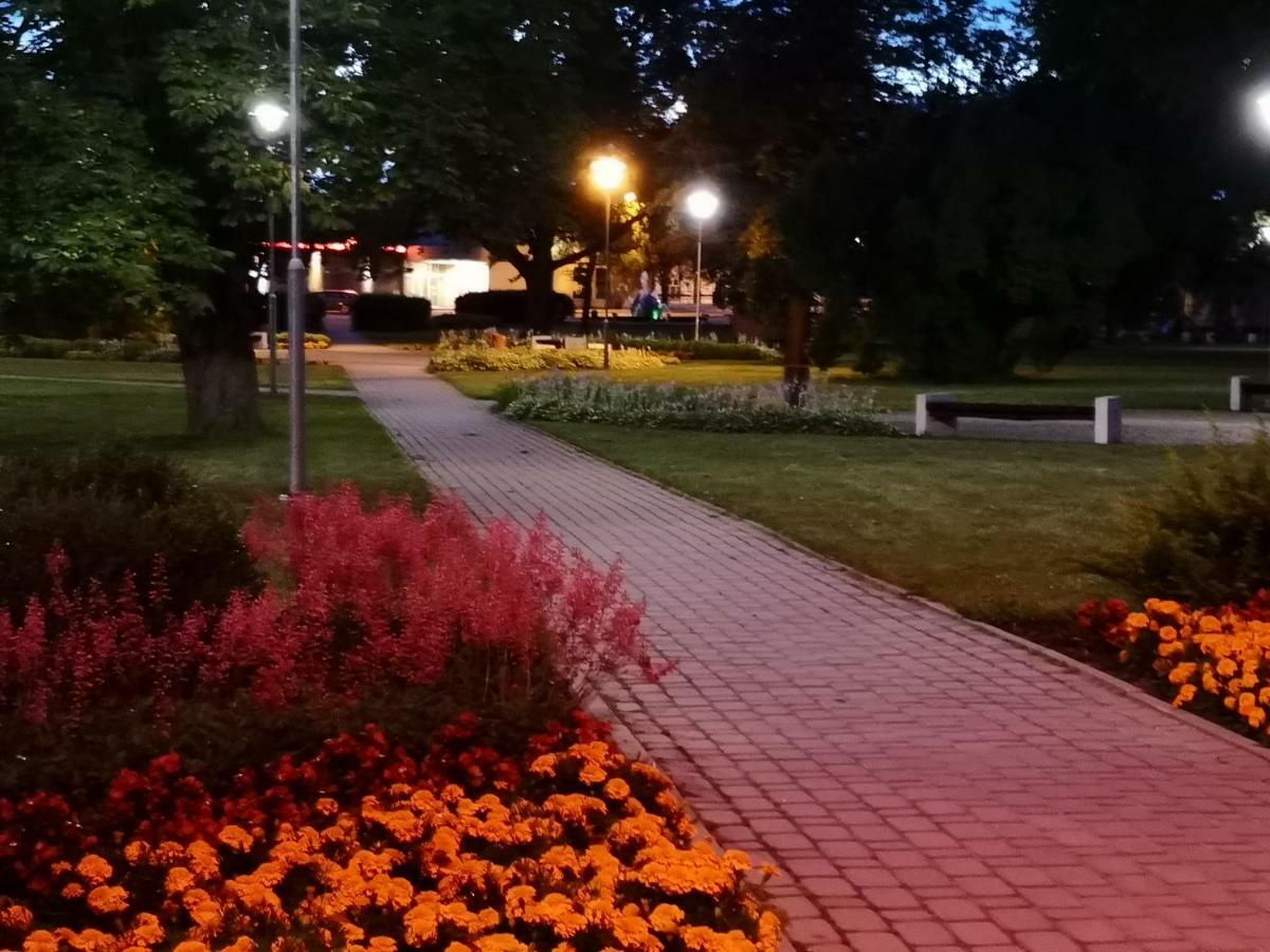 Dvinumajas Vintage B&B Balvi Bagian luar foto