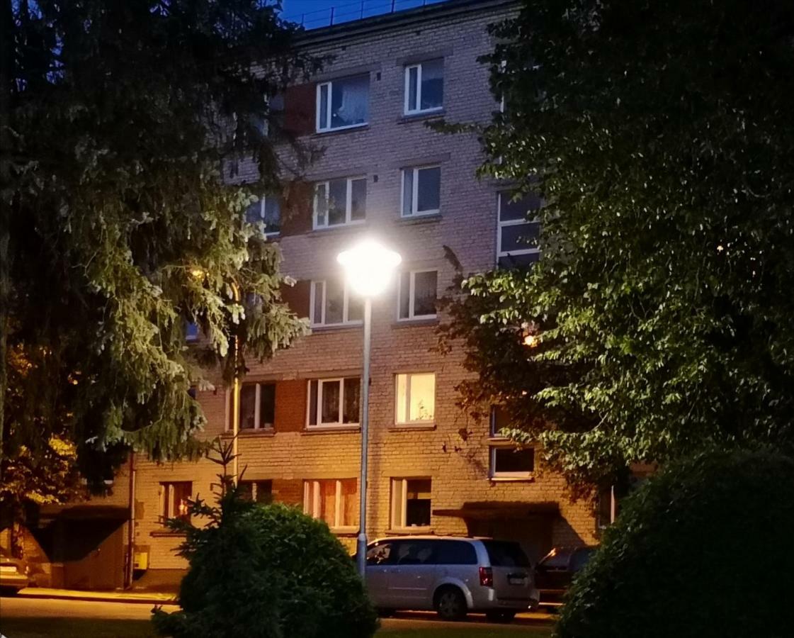 Dvinumajas Vintage B&B Balvi Bagian luar foto